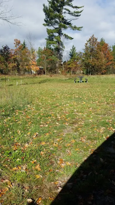 4 Mile State Forest Trail Camp Picture 8
