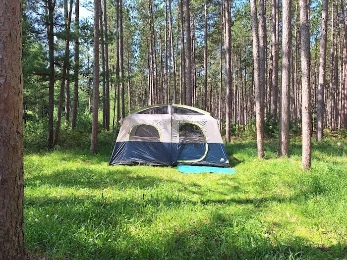 South Branch Campground Picture 3