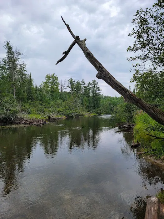 South Branch Campground Picture 1