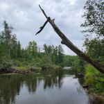 South Branch Campground