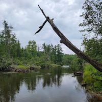 South Branch Campground ico