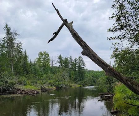 South Branch Campground