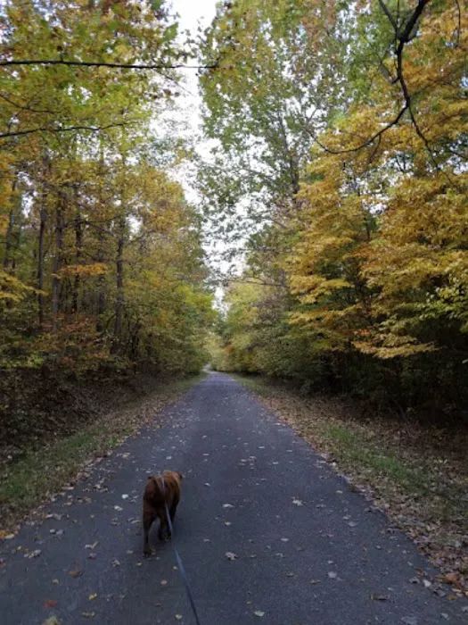 Tween the Lakes RV Park & Campground Picture 1