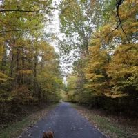 Tween the Lakes RV Park & Campground ico