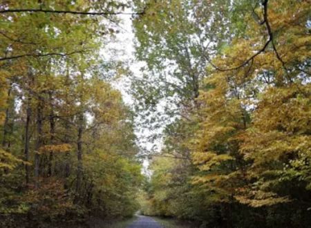 Tween the Lakes RV Park & Campground