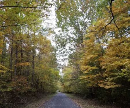 Tween the Lakes RV Park & Campground
