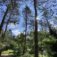 Canoe Harbor State Forest Campground ico