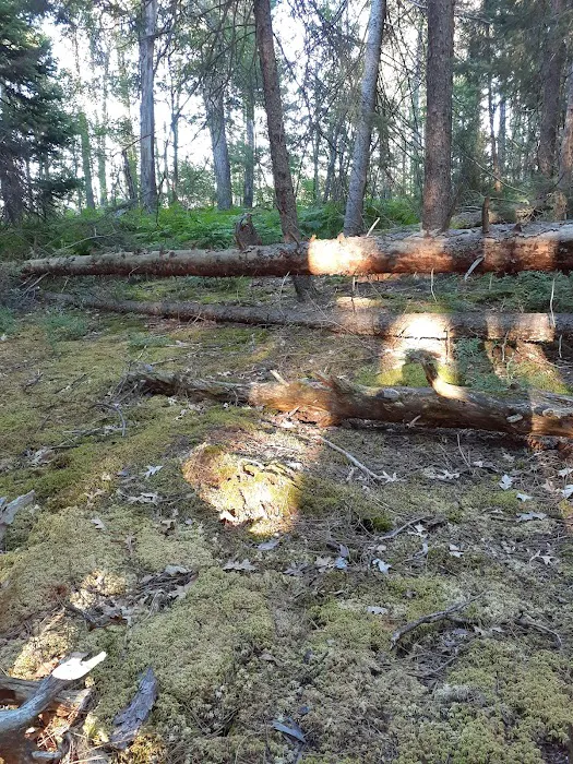 Canoe Harbor State Forest Campground Picture 4