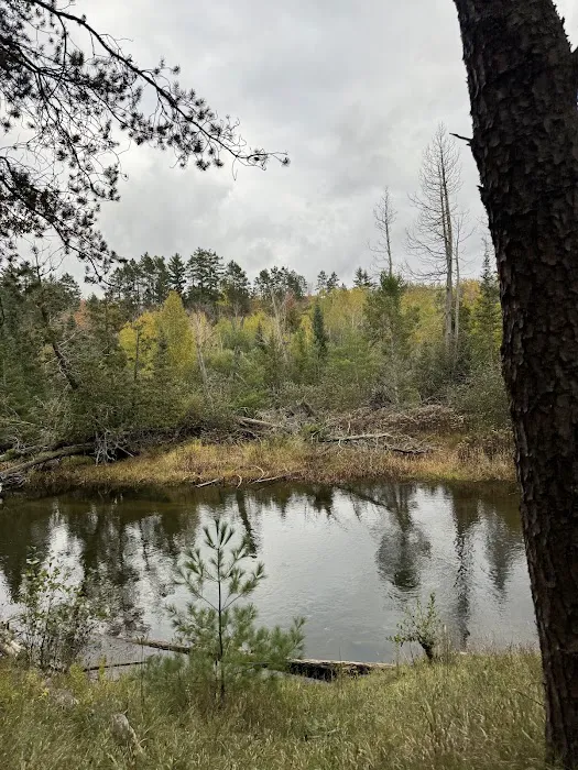 Canoe Harbor State Forest Campground Picture 9