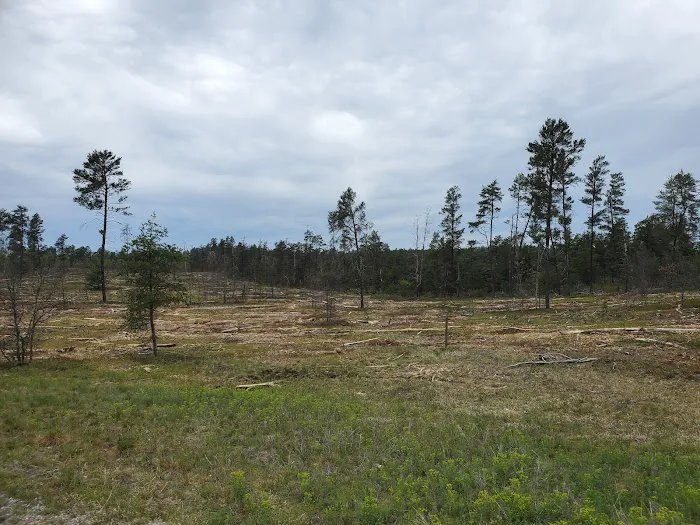 Kneff Lake Campground Picture 10
