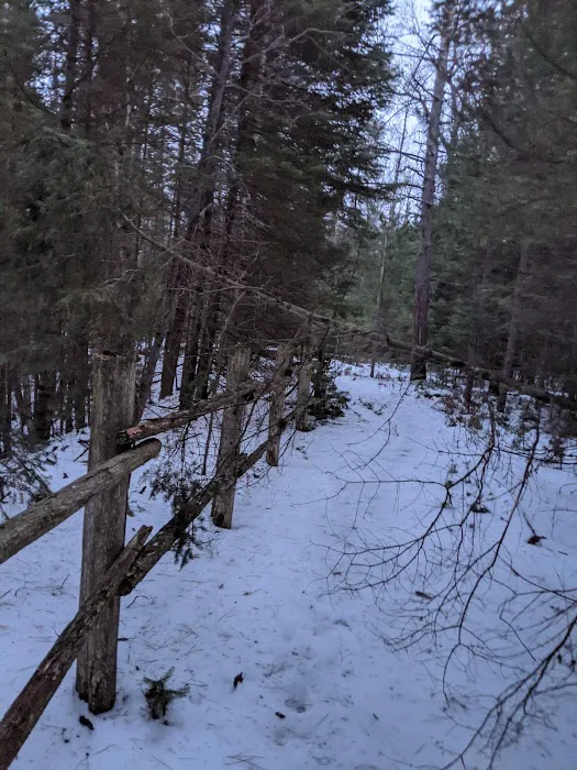 Keystone Landing State Forest Campground Picture 4