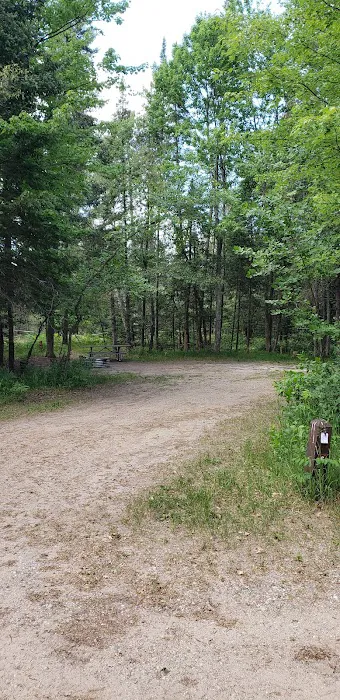 Keystone Landing State Forest Campground Picture 5