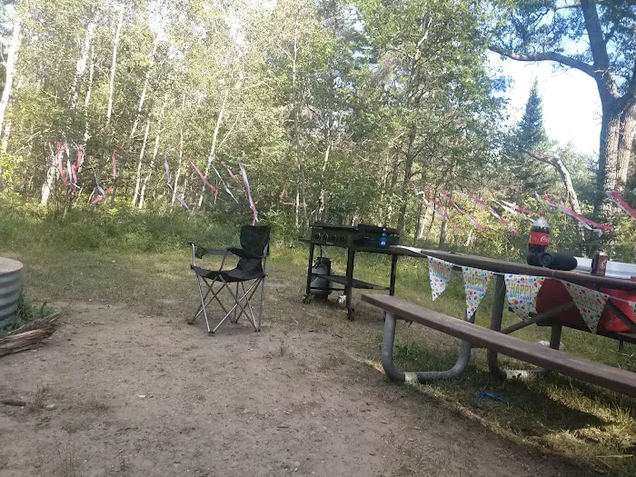 Keystone Landing State Forest Campground Picture 3