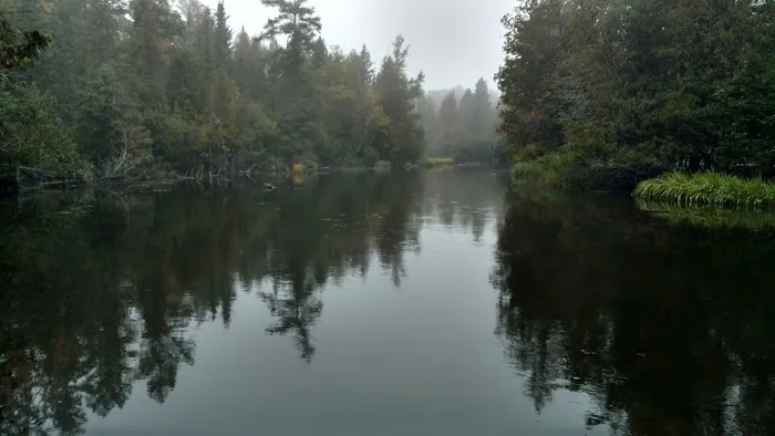 Keystone Landing State Forest Campground Picture 1