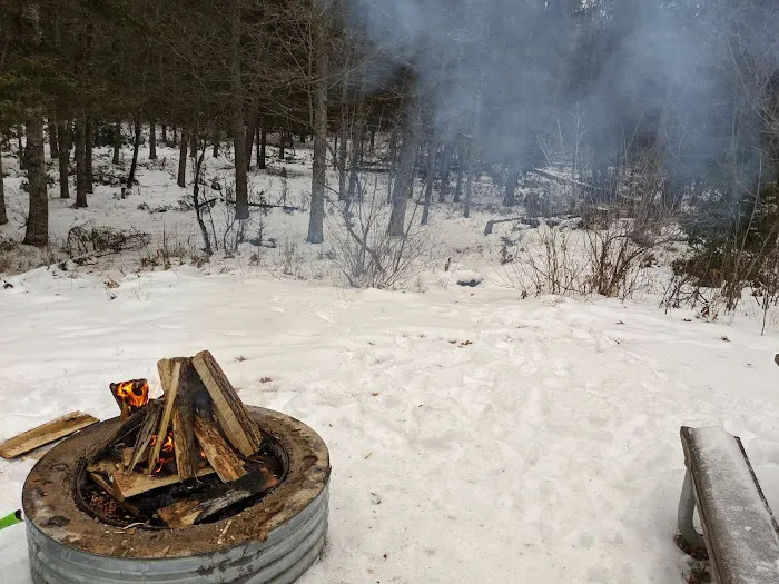 Keystone Landing State Forest Campground Picture 7