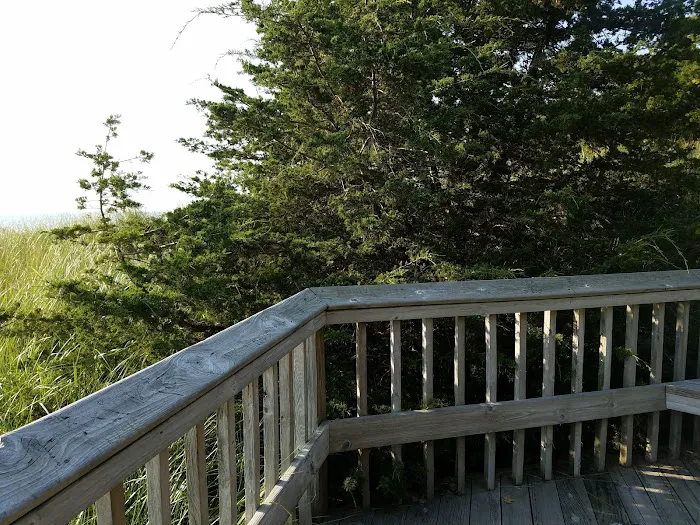 Johnson's Trailer Resort Picture 6