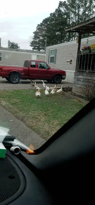Pine Grove Mobile Home Park Picture 4