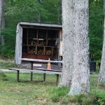 Karner Blue Campground