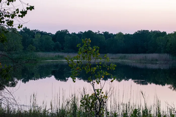 Karner Blue Campground Picture 10