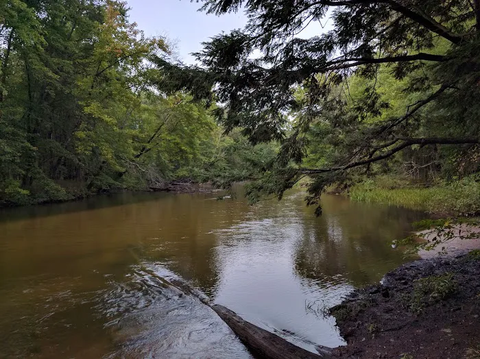 Diamond Point Campground Picture 3