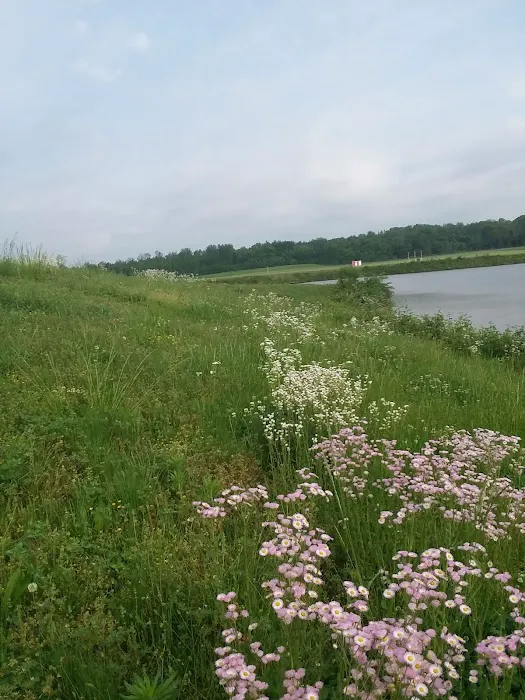 Navy Lakes RV Park & Recreation Event Center Picture 2