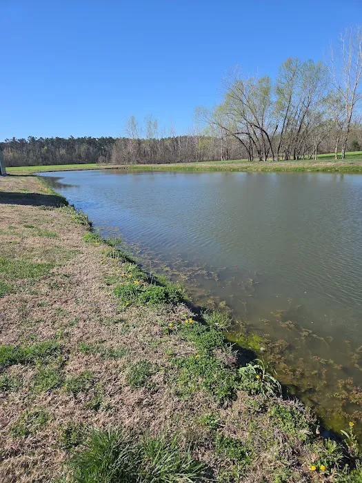 Casper Creek RV Park Picture 4