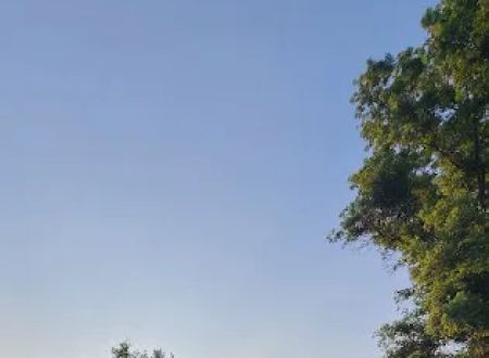 EFfortless Camping