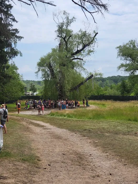 Camp Higher Love Picture 3