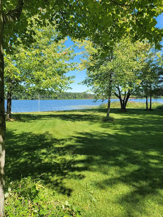 Campbell Lake Campground Picture 8