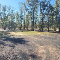 In The Woods RV park and Storage ico