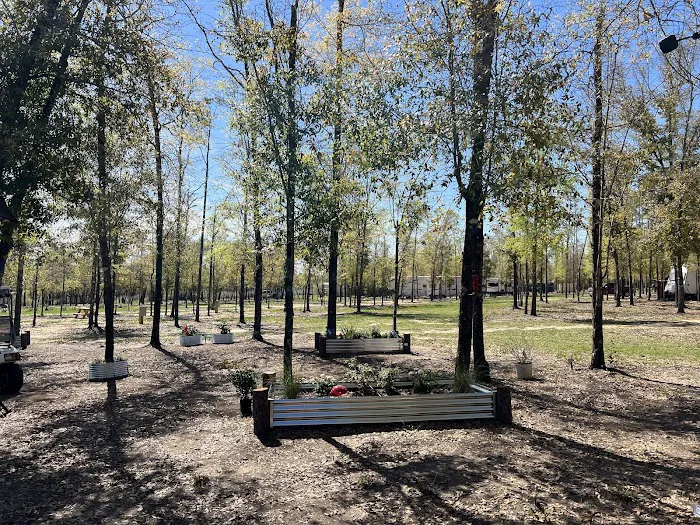 In The Woods RV park and Storage Picture 4