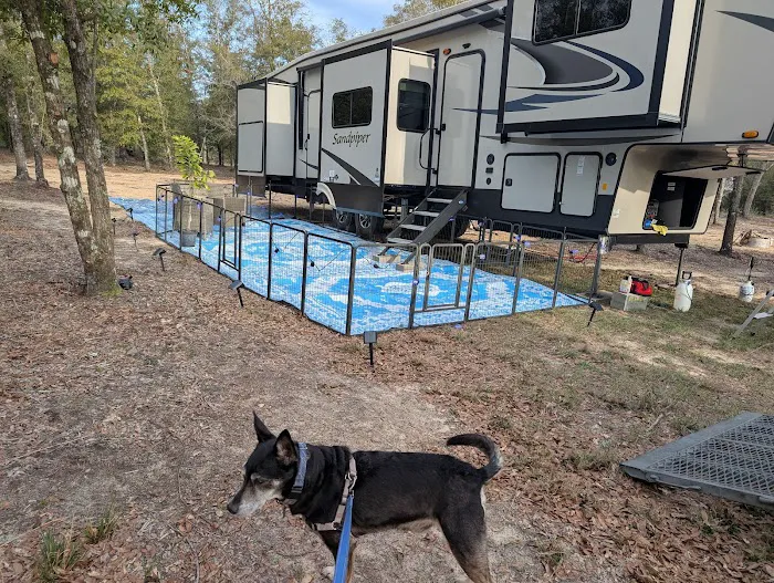 In The Woods RV park and Storage Picture 8