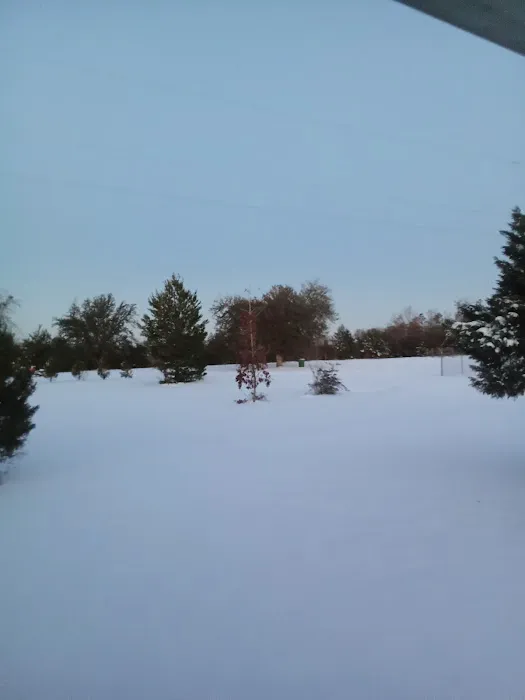 Trailer City Mobile Home Community Picture 3