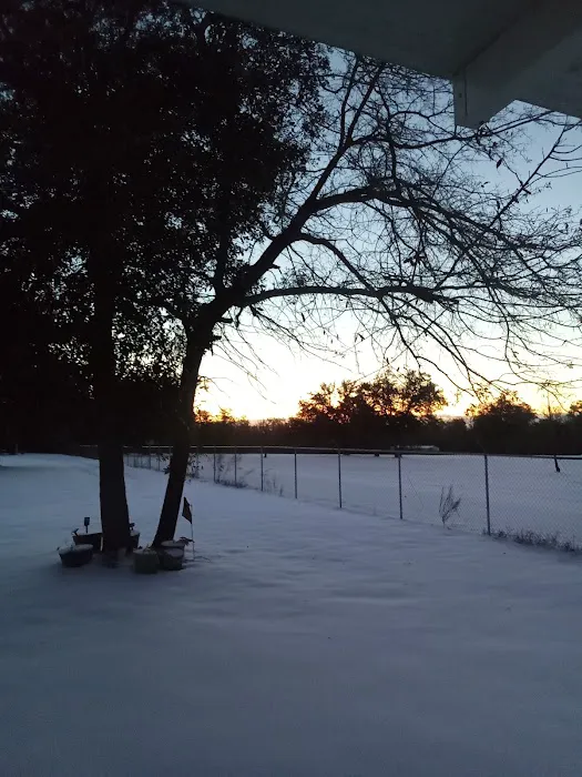 Trailer City Mobile Home Community Picture 4