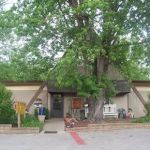 Crawfordsville KOA Journey