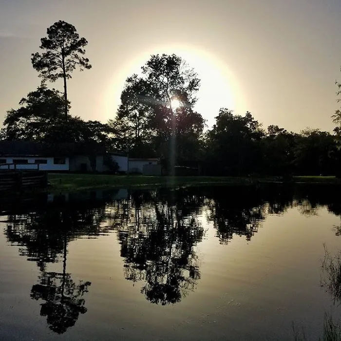 Outback Springs RV Resort Picture 6