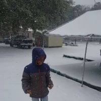 Pine Meadows Mhp ico