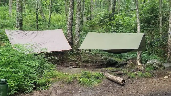 Backcountry Campsite #68 Picture 5