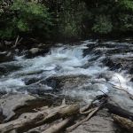 Backcountry Campsite #66