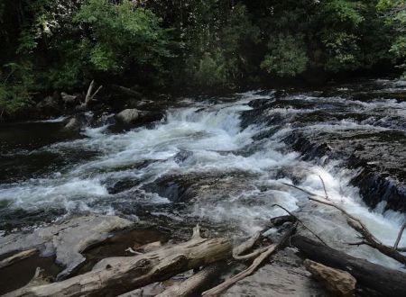 Backcountry Campsite #66