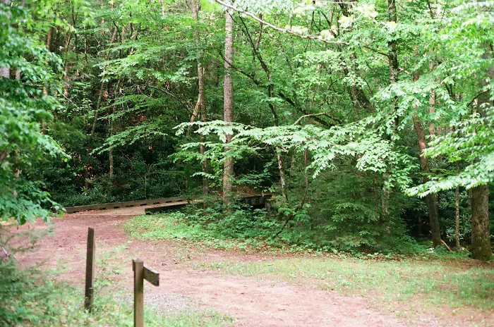 Backcountry Camp 64 Picture 8