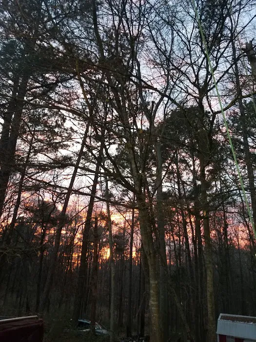 Sunset Campground Picture 5