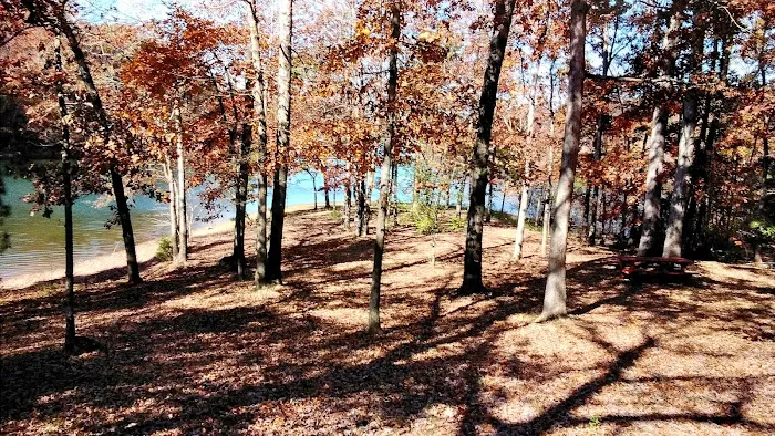 Lake Hartwell Campground LLC Picture 7