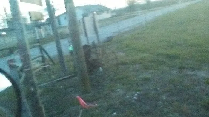 Pine Acres RV Park Picture 6