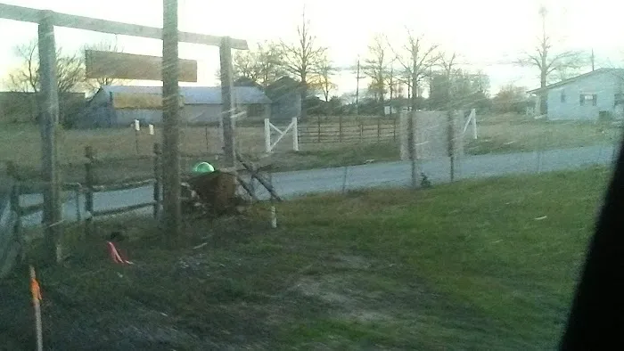 Pine Acres RV Park Picture 5