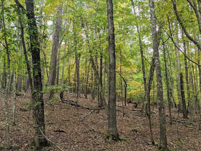 Lake Russell Campground Picture 4
