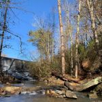 Lake Russell Campground