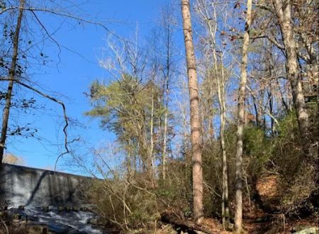 Lake Russell Campground