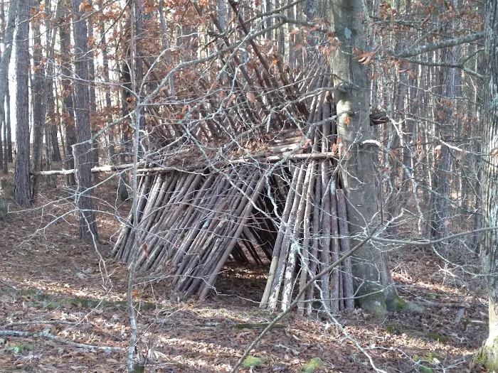 Lake Russell Campground Picture 5