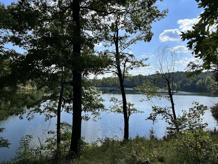 Lake Russell Campground Picture 9